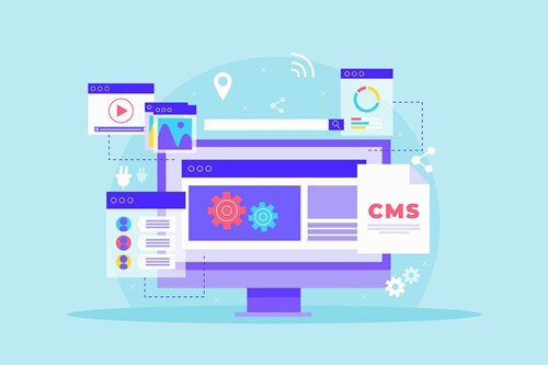 เลือก ปลั๊กอิน wordpress
