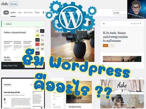 ธีม Wordpress