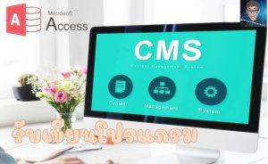 รับเขียนโปรแกรม MS Access : สร้างสรรค์โซลูชันที่ตรงใจคุณ ราคาตรงใจ